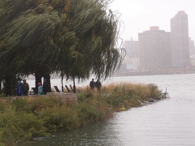 <p>Portions of Gantry Park in Long Island City were under water Monday.</p>
