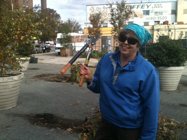 <p>Local schoolteacher KC Byrnes volunteered at Swindler's Cove, helping prune bushes damaged by Hurricane Sandy on Oct. 29, 2012.</p>
