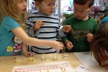 Storefront Science