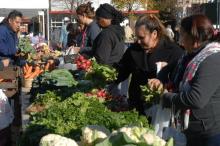 Down to Earth Markets