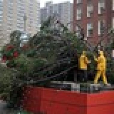 christmas tree blown down by wind at south street seaport christmas tree blown down by wind at south street seaport