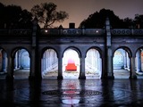 Central Park Video Allows Virtual Experience of the Seasons 