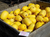 Greenmarkets and Restaurants Cope with Farmers' Rough Harvest