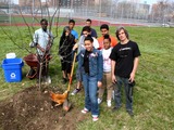 Hard Work Bears Fruit as Bronx Students Plant City's Biggest Orchard 