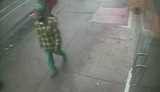 Cops Seek Man Who Mugged 90-Year-Old Woman