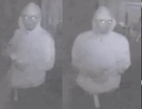 Two Men Involved in Scourge of Brooklyn Swastikas, Cops Say