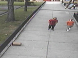 Police Hunting Gunman Who Shot Man on Bronx Basketball Court