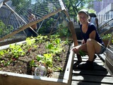 St. Mary's Urban Farm Reclaims the Land to Feed West Harlem Parish