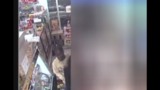 NYPD Seeks Suspect Who Robbed Woman at Gunpoint in Her East Harlem Home