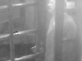 Cops Seek Alleged Robber Who Mugged and Assaulted 73-Year-Old Woman