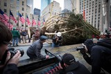 Rockefeller Center Christmas Tree Arrives at New Home