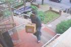Canarsie Home Invader Shot At By 10-Year-Old Boy Caught By Cops