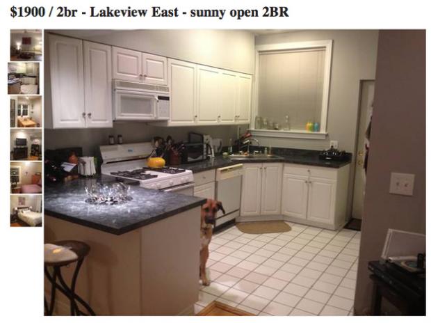  Buzzfeed picked up on this Craigslist listing from Lakeview in which a dog sneaks into every snapshot. 
