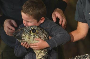 Erth's Dinosaur Petting Zoo is coming to North Park Village Nature Center. 
