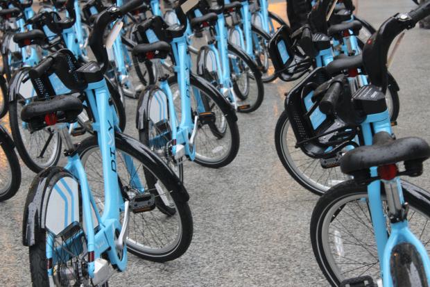  Divvy Bikes 
