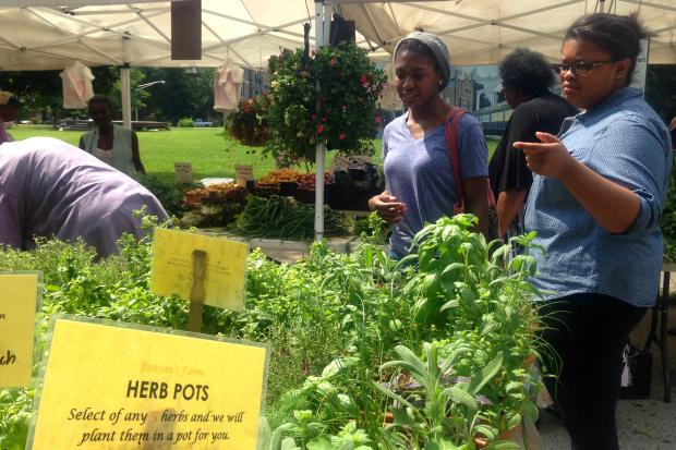  Pullman neighbors are happy the farmers market is back, but wish it had a bit more North Side flavor. 
