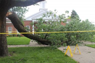  Six people were hit by a falling tree limb outside a funeral service for a slain Chicago woman. 
