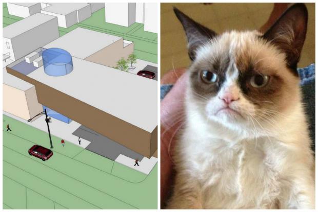  Plans for a two-story building include cage-free cat rooms and a veterinary clinic. 
