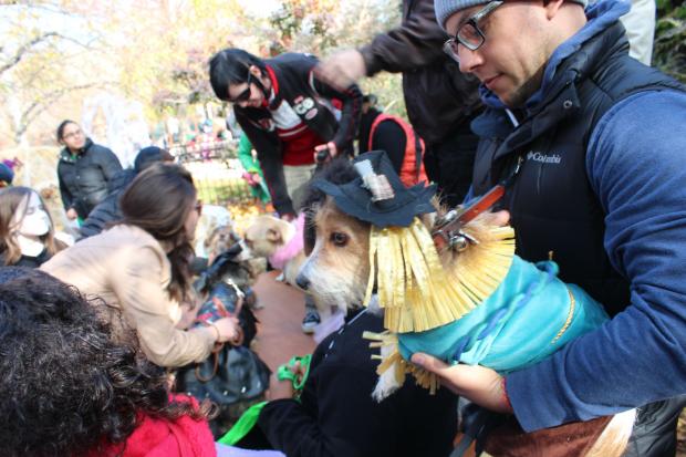  Halloween highlights in Wicker Park. 
