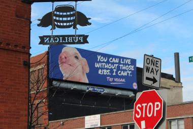  A PETA billboard near Publican, 837 W. Fulton Market, features a piglet and says, "You can live without those ribs, I can't." 
