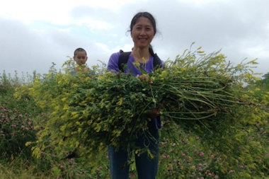  Volunteers are wanted for the monthly cleanup effort at Palmisano Park. 