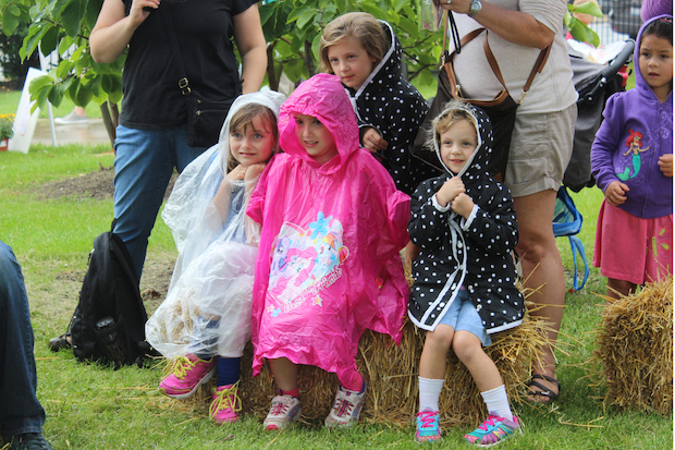   At this year's Norwood Park Fall Fest, kids painted pumpkins and danced to live music, among other things.  
