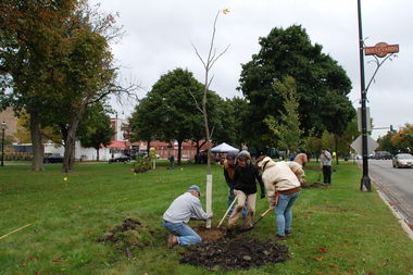  The young trees were planted along Humboldt Boulevard between Armitage and Shakspeare avenues on Oct. 4 as part of a comprehensive, homegrown tree inventory, the first of its kind on the city’s boulevard system. 