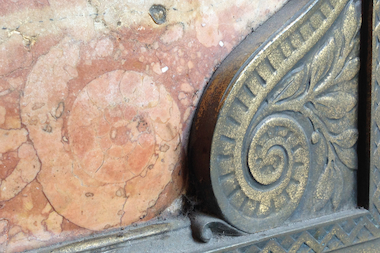  Ammonite, an extinct, shelled relative of squid and octopus, can be found around the Washington street entrances to the Pittsfield Building at 55 E. Washington St. 