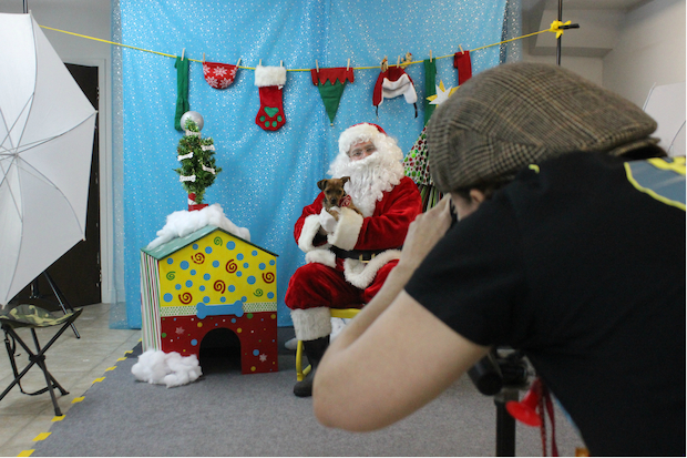  Bark N Bites teamed up with Fetch Portraits on a Christmas-inspired photo session for pets. 