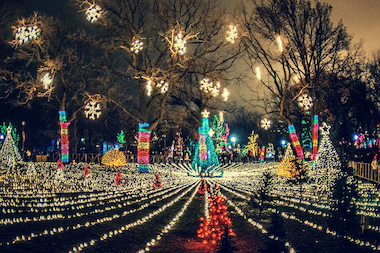  Lincoln Park Zoo's ZooLights runs through Jan. 4. 