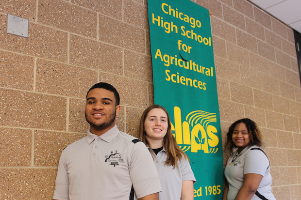  Students at the Chicago High School for Agricultural Sciences have launched a project called Backpack Foods. Fundraisers and canned-food drives will be held to compile edible items. Then, drawstring backpacks will be filled with food and distributed to homeless men and women in Chicago. The project culminated last month through the Lead2Feed program. 