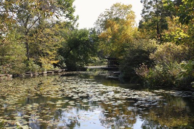  The Alfred Caldwell Lily Pool in Lincoln Park. 