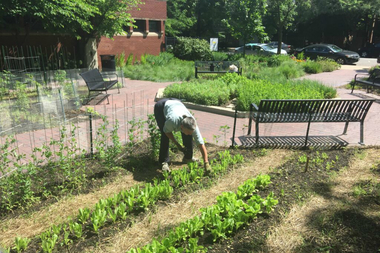  The open garden at Fire Station Park, 1900 N. Larrabee St. 