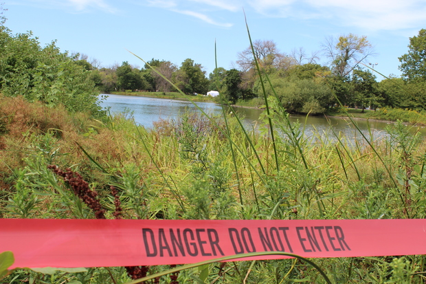  The investigation into the discovery of a child's remains in Garfield Park's lagoon continues. 