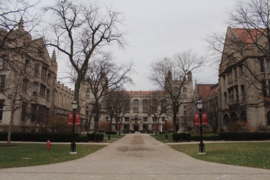  A neo-Nazi group vandalized U. of C. on Monday night with pro-fascist posters. 