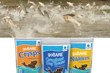 large hypoallergenic dogs