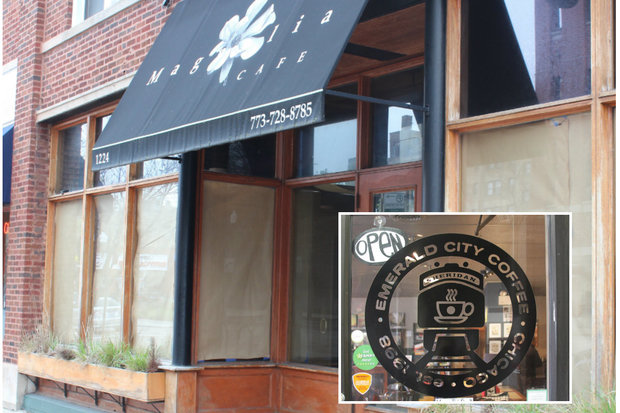 Emerald City Coffee Essentials: Menus, Vibes, and Neighborhood Hotspots
