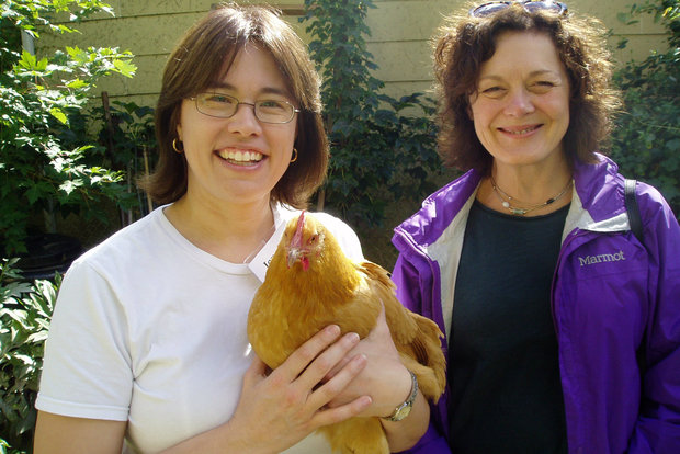  Jennifer Murtoff helps Chicago residents learn how to raise chickens. 