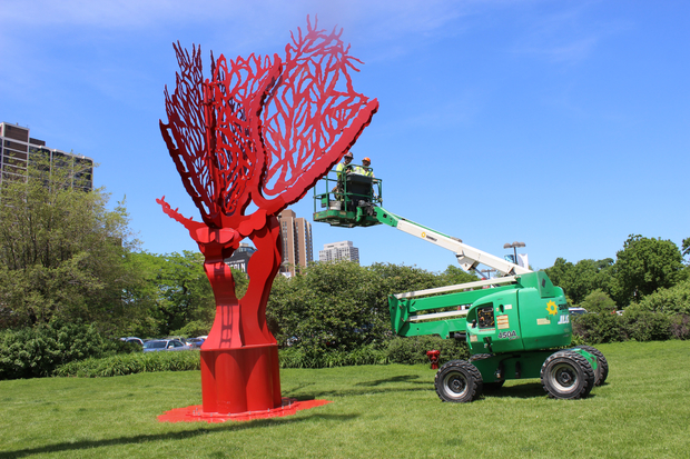 What's Up With The Massive Red Tree Near The History Museum? - Old