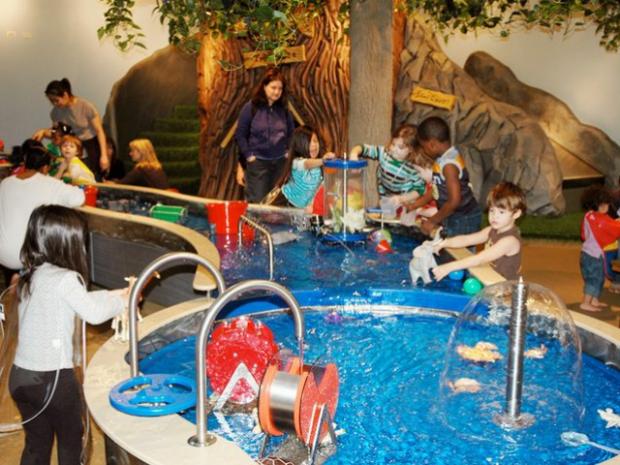 Fun Places For 6 Year Olds Near Me Fun Guest