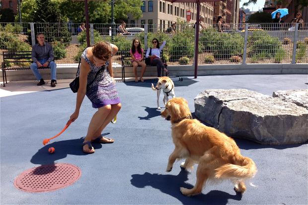  Hudson River Park Dog Run 
