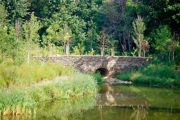  The city announced a $42 million expansion to the Bluebelt and sewer system upgrade to Woodrow to help curb flooding after storms. 
