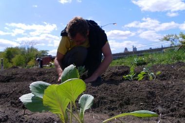  Smiling Hogshead Ranch is an urban farm in Long Island City, built on a plot of unused land owned by the MTA. 
