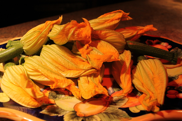  The Executive Chef of 'Cesca, Craig Wallen, said zucchini blossoms are attractive on the plate and offer great flavor.  