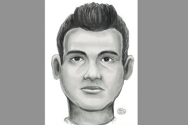  The suspect, pictured in a sketch, ran away after the victim screamed, police said.  