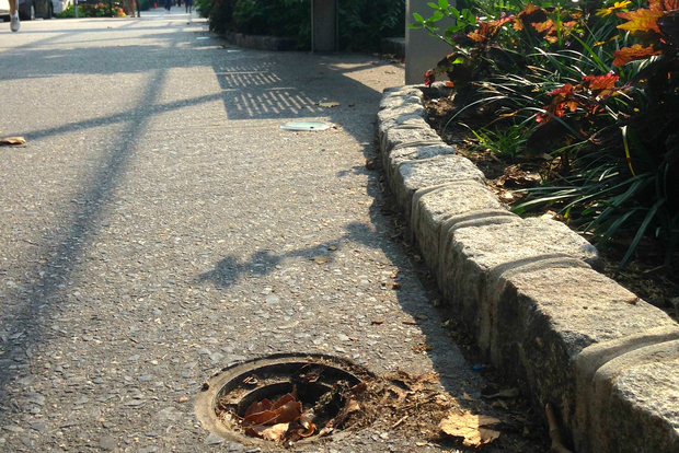  Two solar lights from the Columbus Avenue streetscape were ripped out by a thief, said the BID.  