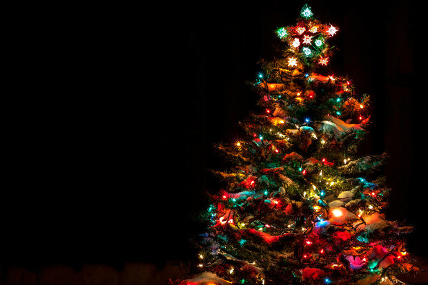 holiday tree will light up sunset park party sunset park holiday tree will light up sunset park party sunset park
