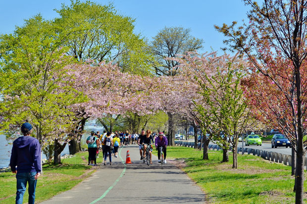 Dark, Unsafe Riverside Park Path Needs $5M Upgrade, Board