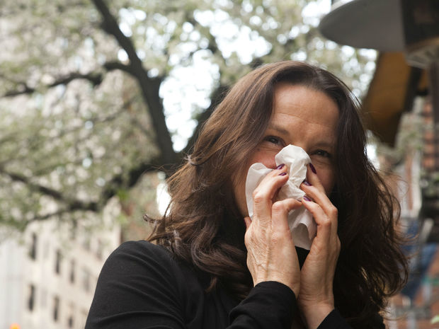  New Yorkers are turning to a range of holistic remedies to treat their allergies. 