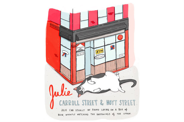 Bodega Cats Animals Bodega Cats Animals